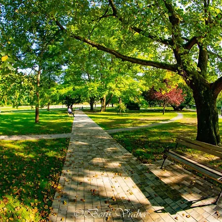 Zdravilisce - Thermana 4*