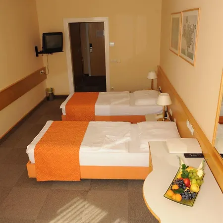 Hotell Zdravilisce - Thermana
