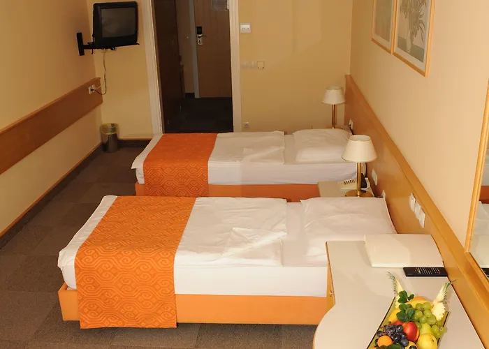 Hotel Zdravilisce - Thermana 4*